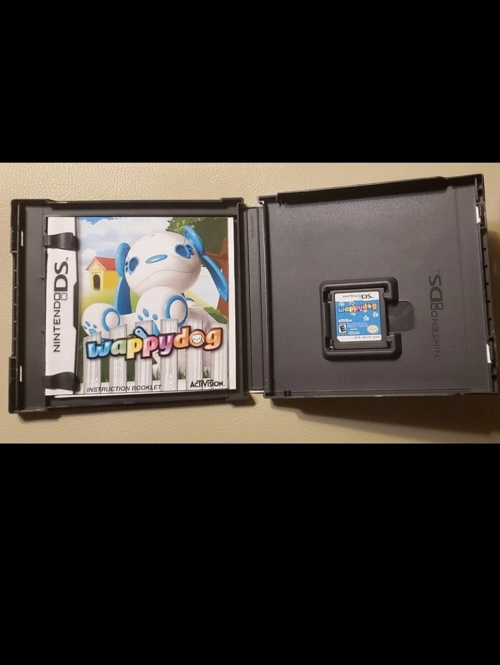 Nintendo companionship includes ds